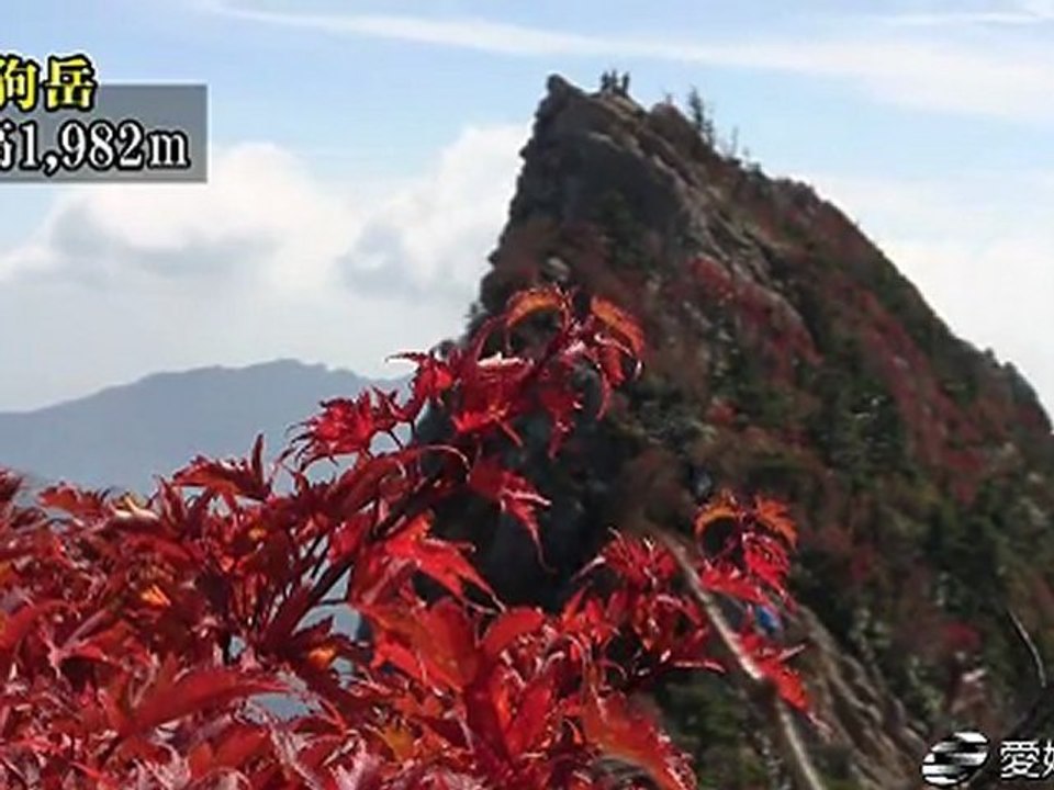 石鎚山頂付近、紅葉 2011年10月07日