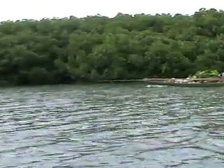 une embarquation sur la mangrove Koh Chang Island  thailande