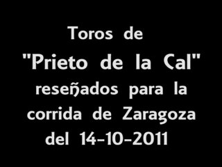Prieto de la Cal - Zaragoza 2011