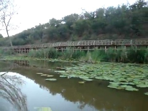Serhan ALTINOK Acarlar Longozu gezimizden görüntüler.