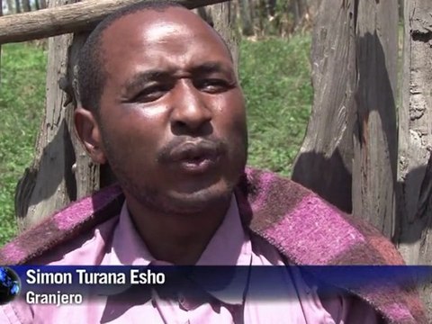 Kenia traslada sus elefantes para evitar que devoren cultivos