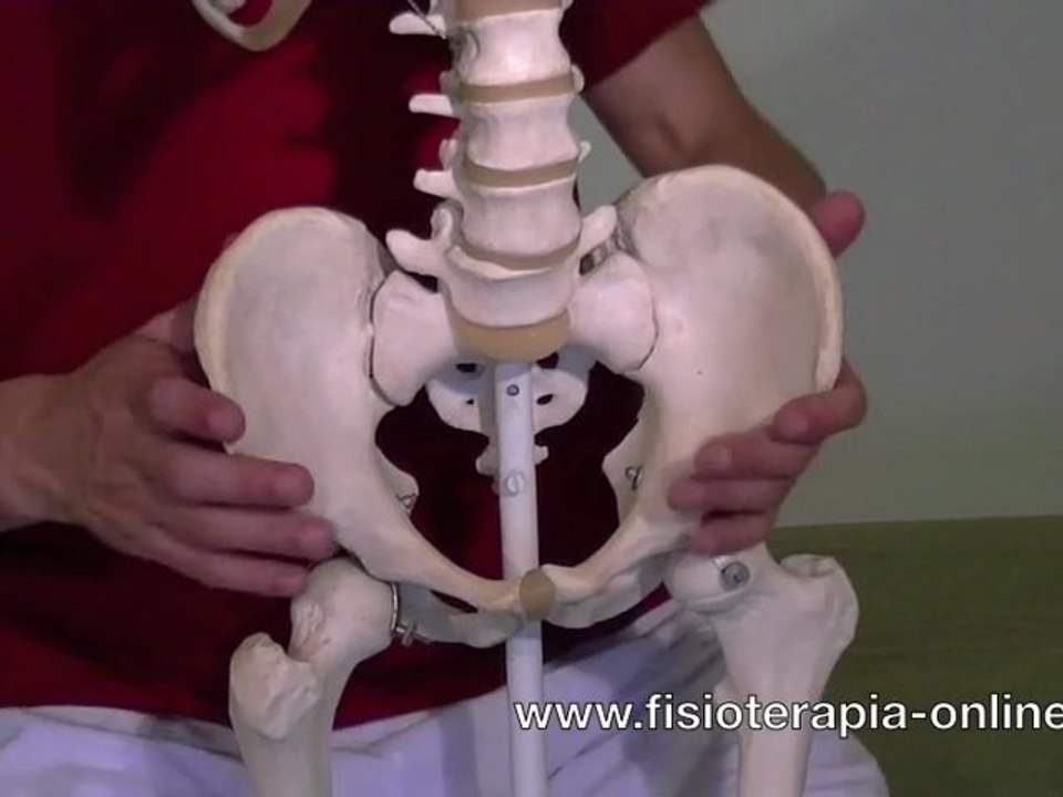 Que es la Pubalgia u Osteopatia de pubis?