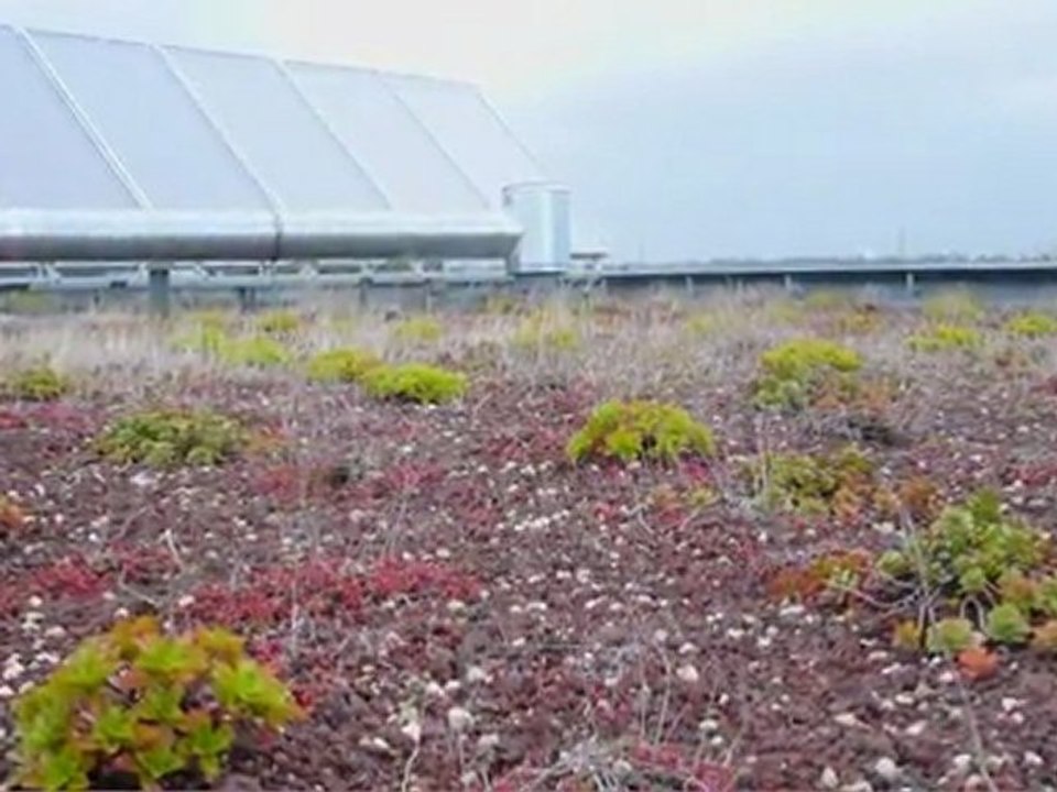 "Les Héliades" (Vézin le Coquet, Ille et Vilaine) : BBC en accession à la propriété