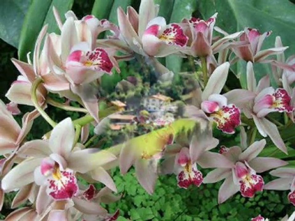 Aşk Herşeye Değer