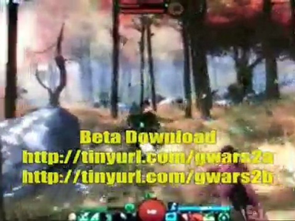 Free Guild Wars 2 Beta Code / Codes Downloader 2011 Download