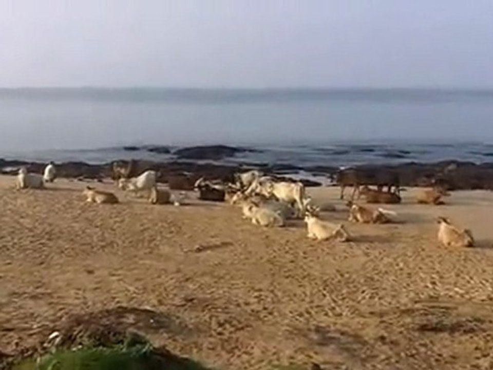 Anjuna Beach Goa