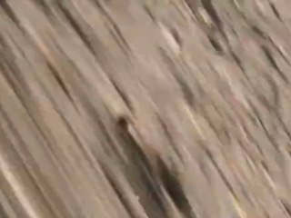 Rugby Division Version Longue