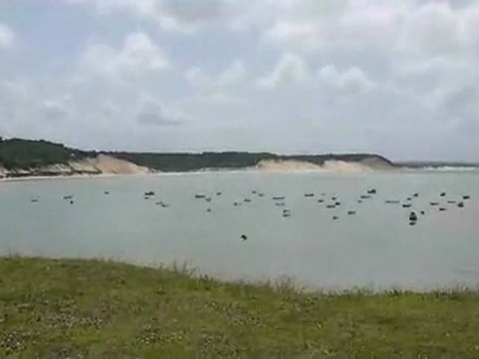 BAIA FORMOSA