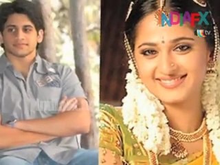 Naga Chaitanya Will Be A Part Of Bala's Next Movie???