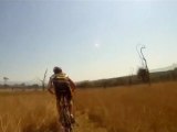 Un cycliste percuté par un Bubale Caama