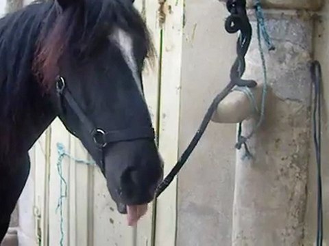 prise de médicament/trop facile !!