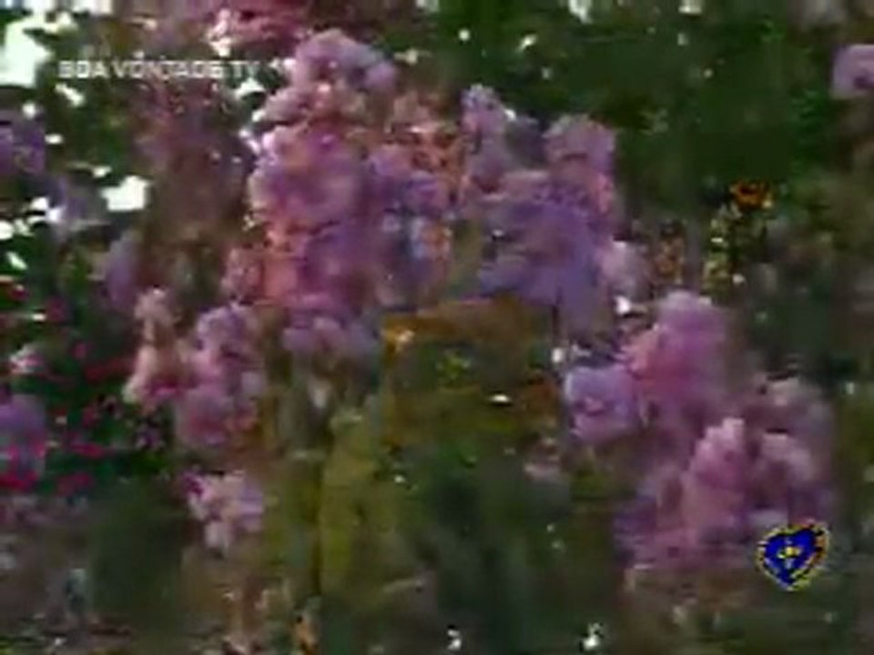 PAIVA NETTO - O Capital de DEUS - RELIGIÃO DE DEUS