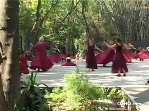 Суфийские кружения / Sufi whirling