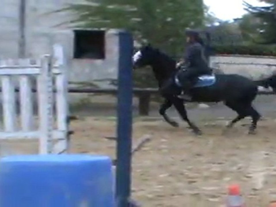 Piou