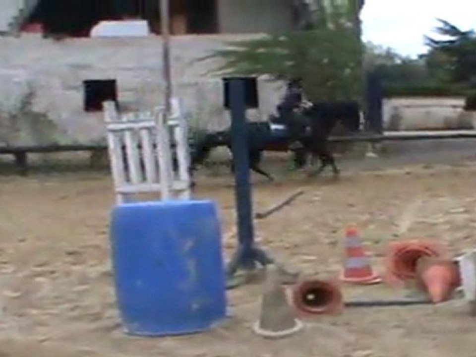 Piou 3