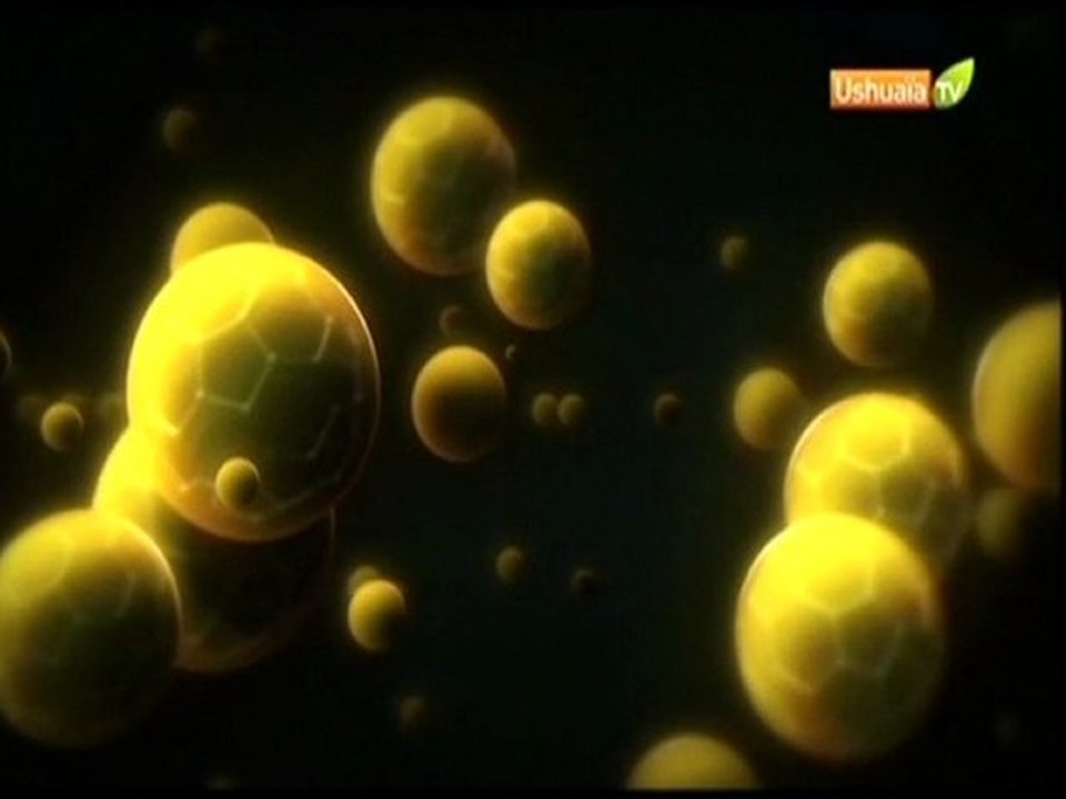 La grande extinction des mammouths (2/3)