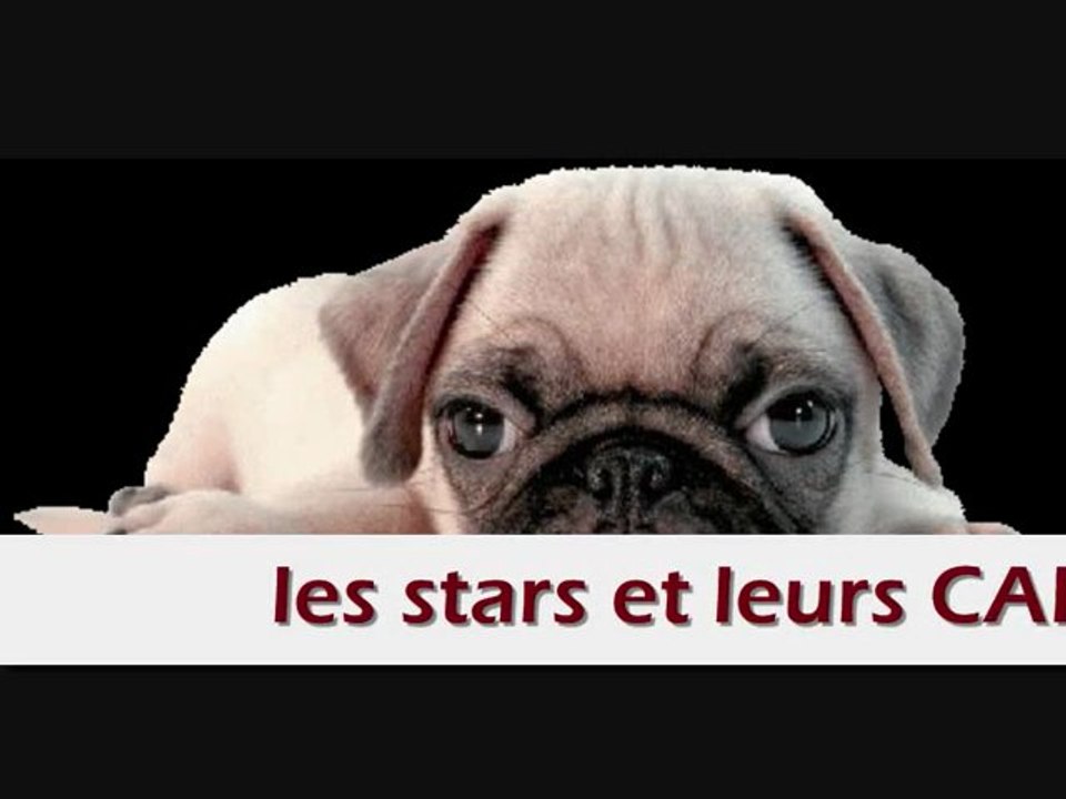 le carlin EN VEDETTE