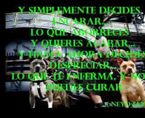 ECOS - HOCICO  & NEYOJAYZ