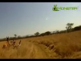 Monster Deer runs over mountain biker. Crazy