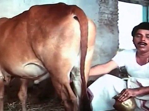 THAMBIKKU ORU PATTU - Kovai Sarala Comedy