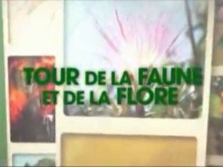Tour de la Faune et de la Flore - épisode 2 : "Les palmiers de la crique Cariacou"
