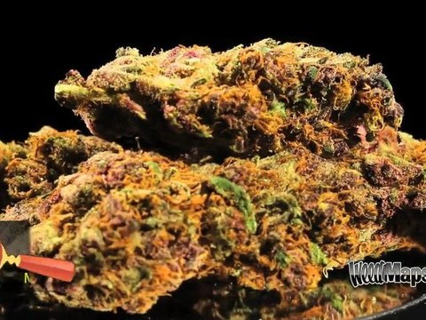 Marijuana County Collective - Costa Mesa Dispensary