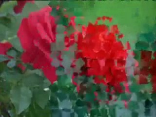 A la découverte des récitations du Golf _ N°7