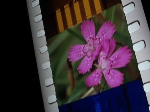 The Unilever Series: Tacita Dean: Film. Tate Modern, Turbine Hall, London