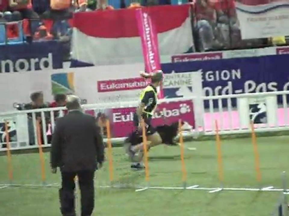 jumping large liévin 2011