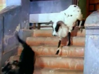 Jagadesswari - Parvathy Consoles Her Sister