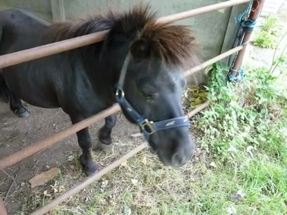 année 2011 - mois de juillet - nº 35