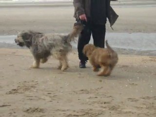 Le pére et le fils s'amusent  enfin ensemble