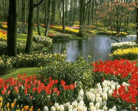 MELEK YÜZLÜM SÖZ- MÜZİK: DOĞAN DOĞAN