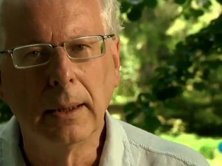 La felicidad: Amigos