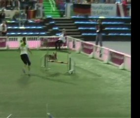 1-Championnat du monde agility 2011_0001