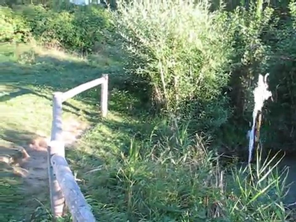 Geyser source Brissac