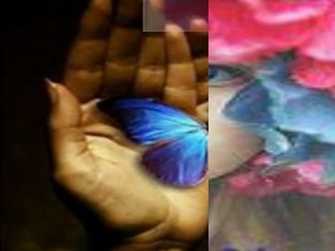 ISMAIL YK EBRU YASAR - SEVIYORUM SENI