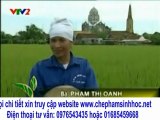 Ứng dụng chế phẩm sinh học Vườn Sinh Thái vào tỉnh Thái Bình