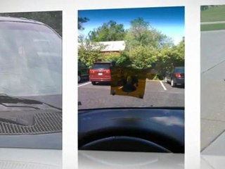 30554  windshield installation cost