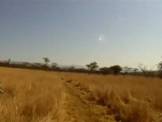 Bisiklet sürücüsüne antilop çarptı