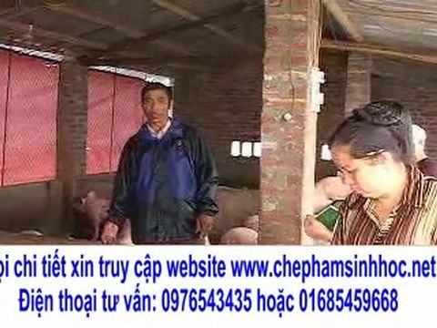 nuôi lợn xuất chồng sớm 15 ngày, thịt nạc hơn, heo lớn nhanh hơn, cho ăn gì mà hay thế?