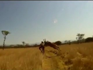 Bisikletci Giderken Antilop Çarptı (Görünmez kaza)