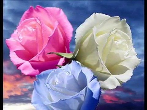 Müzeyyen Senar..Bir gönül vardı bende..