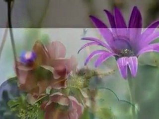 Gönül Yazar...Sen arzu ettin..