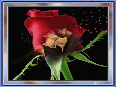 dokunsalar ağlayacak gibiyim ( y.january )