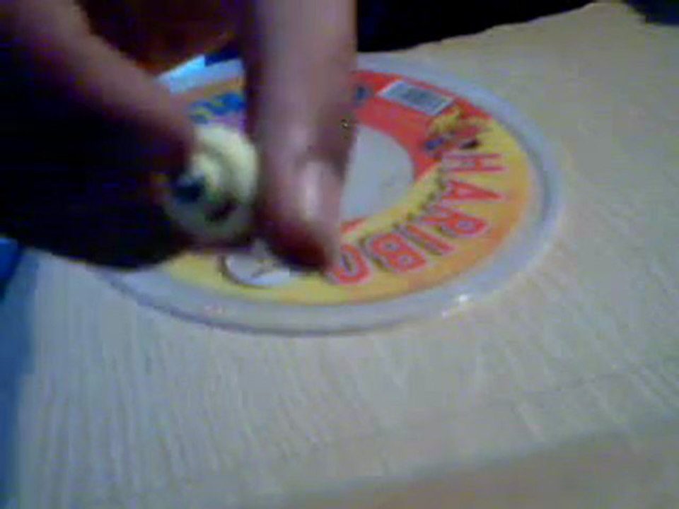 presentation de burn fireblaze et evil gemios