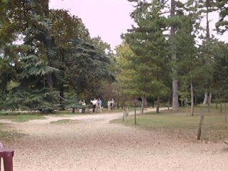 La "Camion du Bois de Boulogne"
