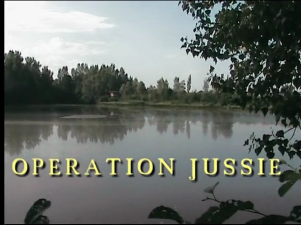 La Jussie, une plante invasive