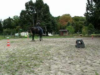 10.11 debut de direction et reculer