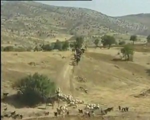 Ali Aksoy : ' SARI YAYLAM '' 2